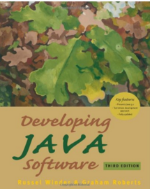 Developing Java
